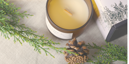Create an image of a cozy New Zealand home interior, featuring a variety of beautifully designed fragrance candles. Show scented candles placed on a rustic wooden table, next to a window with a view o