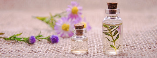 Calm Your Anxiety with Lavender Essential Oil: A Natural Stress Relief Solution