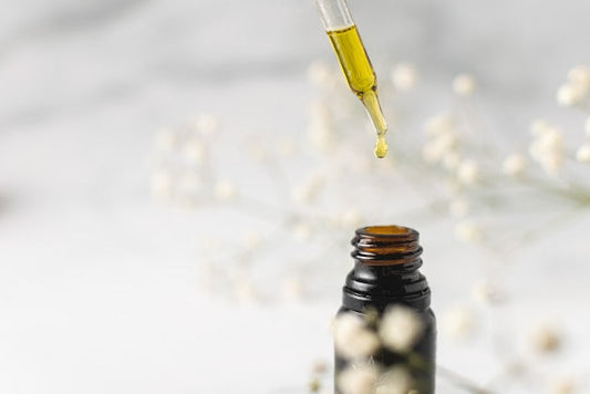 Choosing the Right Oil Diffuser for Pets in New Zealand