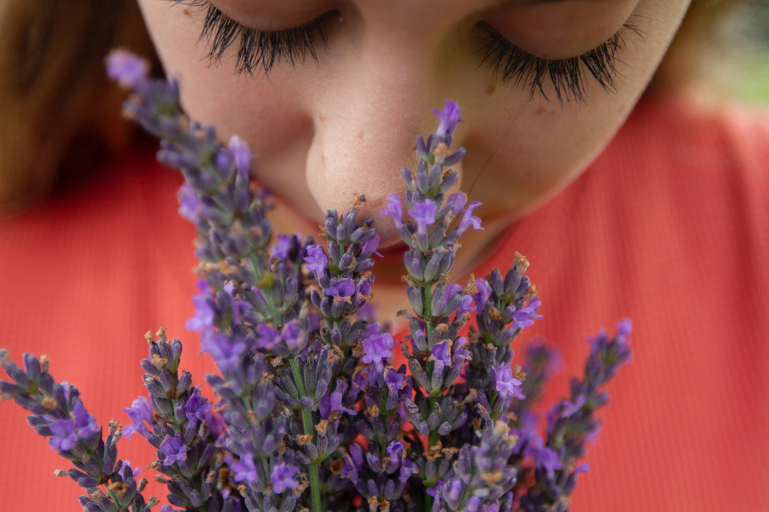 Unlocking the Secrets: Lavender Essential Oil Benefits Revealed