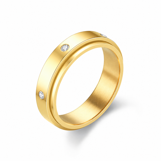 Eternity Fidget Ring ( Silver / Rose Gold)