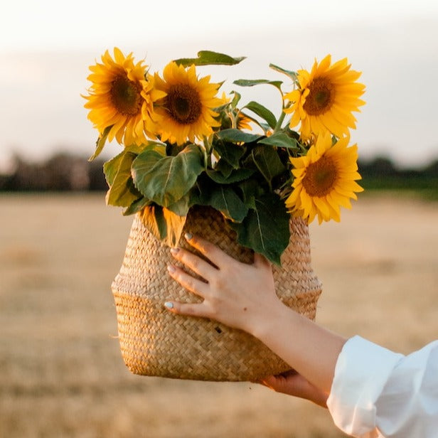 Lift-Me-Up Essential Oil Blend